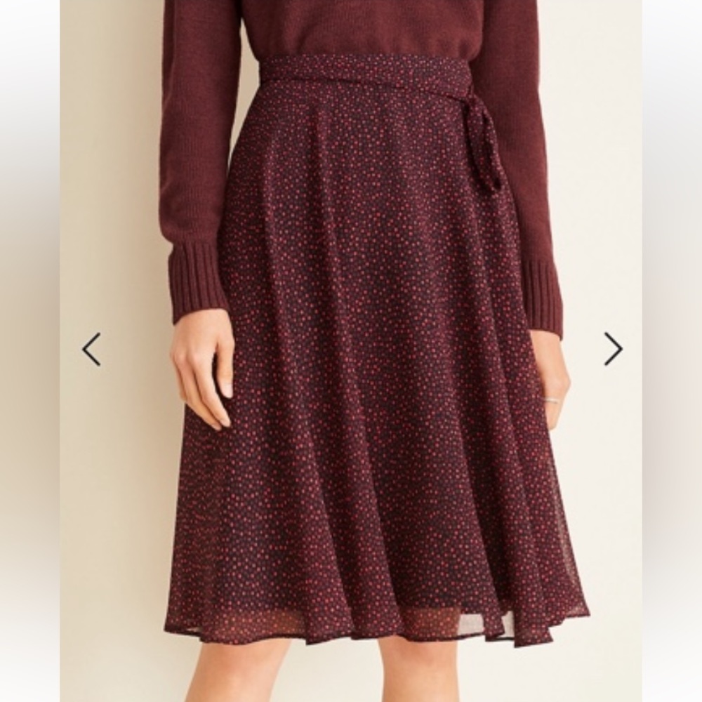 Ann Taylor Full Skirt